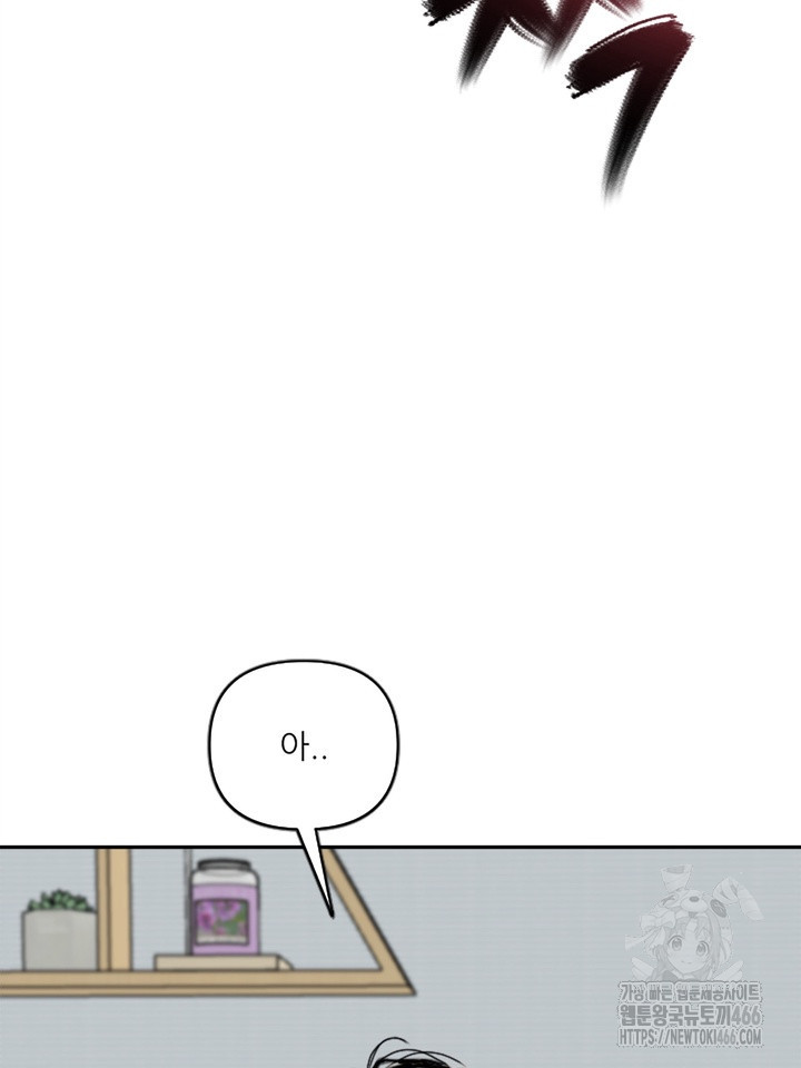 17343449851339_0242.jpeg